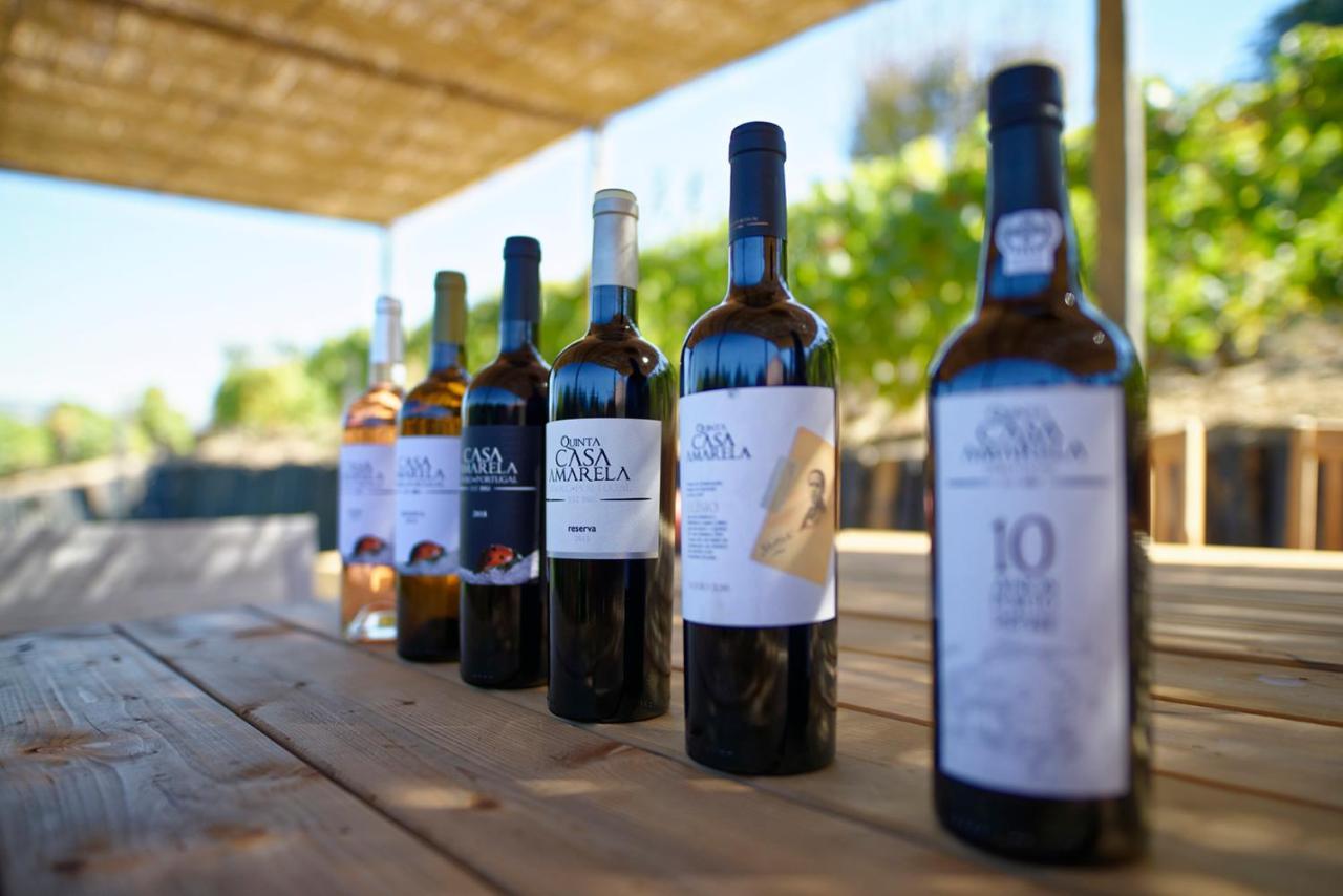 Quinta Da Casa Amarela- Casas Da Quinta - Turismo Em Espaco Rural Lamego Buitenkant foto